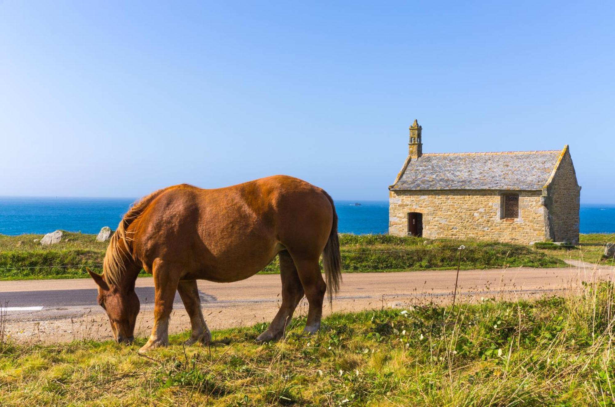 Ty Nevez - Jolie Maison Neuve Avec Petite Vue Mer Saint-Pabu  Екстер'єр фото